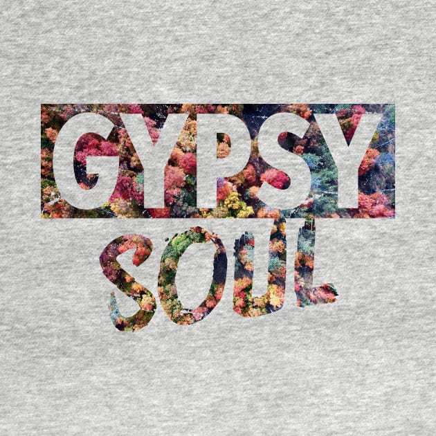 Gypsy Soul by hoopoe